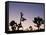 California, Joshua Tree National Park, Joshua Tree, Yucca Brevifolia, in Hidden Valley, Dawn, USA-Walter Bibikow-Framed Stretched Canvas