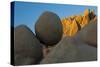 California. Joshua Tree National Park. Jumbo Rocks at Sunset-Judith Zimmerman-Stretched Canvas