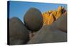 California. Joshua Tree National Park. Jumbo Rocks at Sunset-Judith Zimmerman-Stretched Canvas