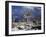 California, Joshua Tree National Park, Mojave Desert, Snow Covered Joshua Tree-Christopher Talbot Frank-Framed Premium Photographic Print