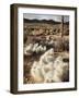 California, Joshua Tree National Park, Prickly Pear Cactus in the Mojave Desert-Christopher Talbot Frank-Framed Photographic Print