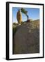 California. Joshua Tree National Park. Rock Formation and Juniper at Sunset-Judith Zimmerman-Framed Photographic Print