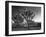 California, Joshua Tree National Park, USA-Alan Copson-Framed Premium Photographic Print
