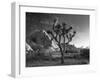 California, Joshua Tree National Park, USA-Alan Copson-Framed Premium Photographic Print