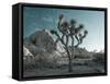 California, Joshua Tree National Park, USA-Alan Copson-Framed Stretched Canvas