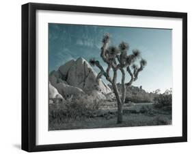 California, Joshua Tree National Park, USA-Alan Copson-Framed Photographic Print