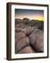 California, Joshua Tree National Park, USA-Alan Copson-Framed Photographic Print