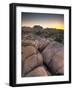 California, Joshua Tree National Park, USA-Alan Copson-Framed Photographic Print