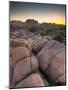 California, Joshua Tree National Park, USA-Alan Copson-Mounted Photographic Print