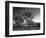 California, Joshua Tree National Park, USA-Alan Copson-Framed Photographic Print