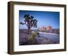 California, Joshua Tree National Park, USA-Alan Copson-Framed Photographic Print