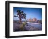 California, Joshua Tree National Park, USA-Alan Copson-Framed Photographic Print