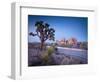 California, Joshua Tree National Park, USA-Alan Copson-Framed Photographic Print