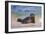 California, La Jolla. Baby Harbor Seal in Beach Water-Jaynes Gallery-Framed Photographic Print