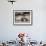 California, La Jolla. Baby Harbor Seal on Beach-Jaynes Gallery-Framed Photographic Print displayed on a wall