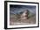 California, La Jolla. Baby Harbor Seal on Beach-Jaynes Gallery-Framed Photographic Print