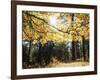 California, Laguna Mountains, Cleveland Nf, California Black Oak Tree-Christopher Talbot Frank-Framed Photographic Print