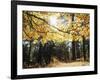 California, Laguna Mountains, Cleveland Nf, California Black Oak Tree-Christopher Talbot Frank-Framed Photographic Print