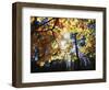 California, Laguna Mts, Cleveland Nf, California Black Oak Tree-Christopher Talbot Frank-Framed Photographic Print