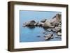 California, Lake Tahoe. Granite Boulders on Lake Shore-Jaynes Gallery-Framed Photographic Print