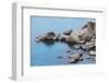California, Lake Tahoe. Granite Boulders on Lake Shore-Jaynes Gallery-Framed Photographic Print