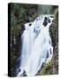 California, Lassen Volcanic National Park, Kings Creek Falls-Christopher Talbot Frank-Stretched Canvas