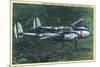 California - Lockheed Lightning Interceptor P-38 in Flight-Lantern Press-Mounted Art Print