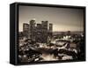 California, Los Angeles, Skyline of Downtown Los Angeles, USA-Michele Falzone-Framed Stretched Canvas