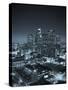 California, Los Angeles, Skyline of Downtown Los Angeles, USA-Michele Falzone-Stretched Canvas