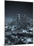 California, Los Angeles, Skyline of Downtown Los Angeles, USA-Michele Falzone-Mounted Photographic Print