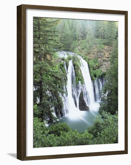 California, Mcarthur Burney Falls Memorial State Park, Burney Falls-Christopher Talbot Frank-Framed Premium Photographic Print