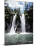 California, Mcarthur–Burney Falls Memorial State Park, Burney Falls-Christopher Talbot Frank-Mounted Premium Photographic Print