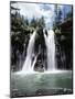 California, Mcarthur–Burney Falls Memorial State Park, Burney Falls-Christopher Talbot Frank-Mounted Photographic Print