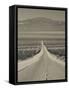 California, Mojave Desert, Amboy Road, USA-Walter Bibikow-Framed Stretched Canvas