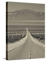 California, Mojave Desert, Amboy Road, USA-Walter Bibikow-Stretched Canvas