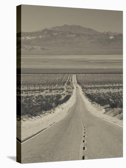 California, Mojave Desert, Amboy Road, USA-Walter Bibikow-Stretched Canvas