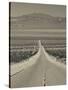 California, Mojave Desert, Amboy Road, USA-Walter Bibikow-Stretched Canvas