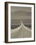 California, Mojave Desert, Amboy Road, USA-Walter Bibikow-Framed Photographic Print