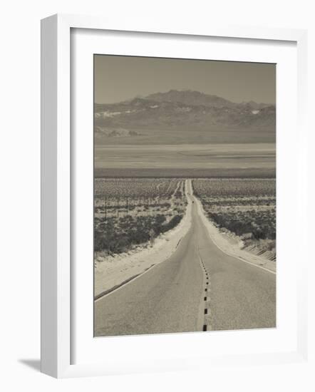 California, Mojave Desert, Amboy Road, USA-Walter Bibikow-Framed Photographic Print