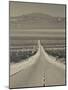 California, Mojave Desert, Amboy Road, USA-Walter Bibikow-Mounted Photographic Print