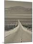 California, Mojave Desert, Amboy Road, USA-Walter Bibikow-Mounted Photographic Print