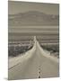 California, Mojave Desert, Amboy Road, USA-Walter Bibikow-Mounted Photographic Print