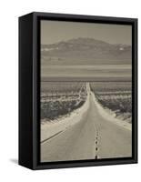 California, Mojave Desert, Amboy Road, USA-Walter Bibikow-Framed Stretched Canvas