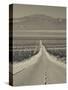 California, Mojave Desert, Amboy Road, USA-Walter Bibikow-Stretched Canvas