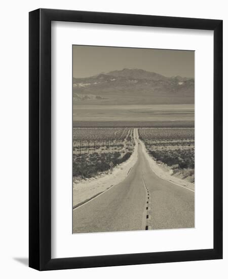 California, Mojave Desert, Amboy Road, USA-Walter Bibikow-Framed Photographic Print