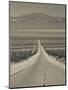 California, Mojave Desert, Amboy Road, USA-Walter Bibikow-Mounted Photographic Print