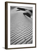 California, Mojave Trails National Monument-Judith Zimmerman-Framed Photographic Print