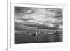 California, Mono Lake. Black and White of Tufa Towers-Jaynes Gallery-Framed Photographic Print