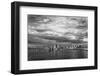 California, Mono Lake. Black and White of Tufa Towers-Jaynes Gallery-Framed Photographic Print