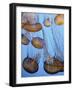 California, Monterey Bay Acquarium, Pacific Sea Nettle Jellyfish, USA-Michele Falzone-Framed Photographic Print